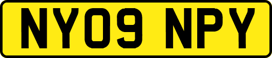 NY09NPY