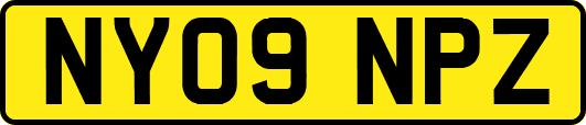 NY09NPZ