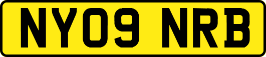 NY09NRB