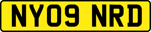 NY09NRD