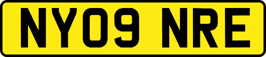 NY09NRE