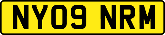 NY09NRM