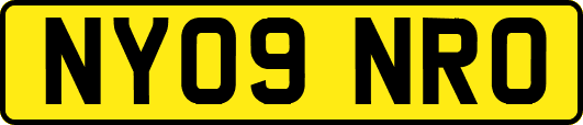 NY09NRO