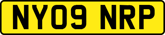 NY09NRP