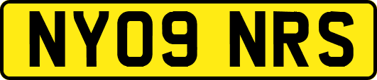NY09NRS