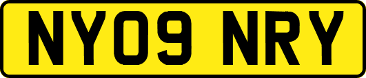 NY09NRY