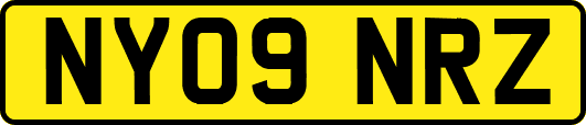 NY09NRZ