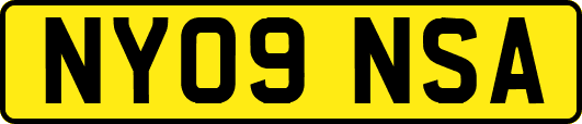 NY09NSA