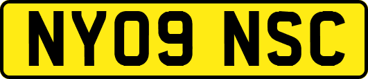 NY09NSC