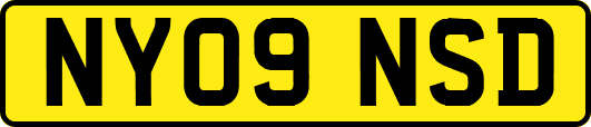 NY09NSD