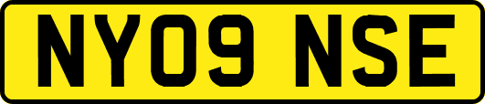 NY09NSE