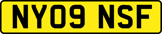NY09NSF