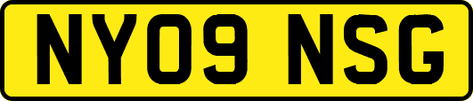 NY09NSG