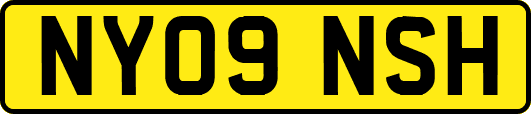 NY09NSH