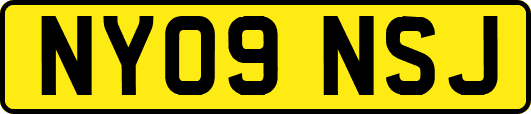 NY09NSJ