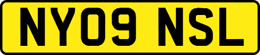 NY09NSL