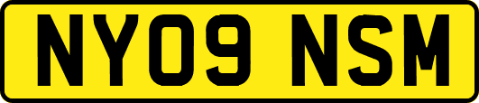 NY09NSM