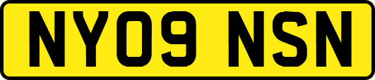 NY09NSN