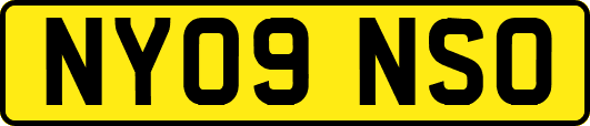 NY09NSO