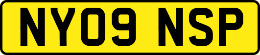 NY09NSP