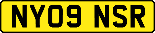 NY09NSR