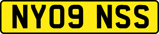 NY09NSS