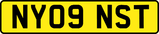 NY09NST