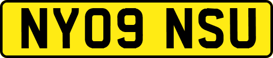 NY09NSU