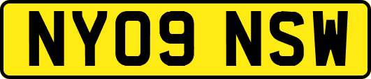 NY09NSW
