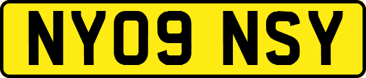 NY09NSY