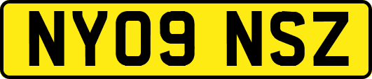 NY09NSZ