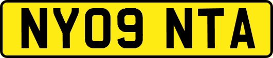 NY09NTA