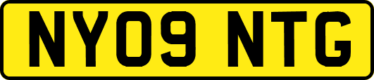 NY09NTG