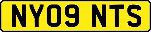 NY09NTS