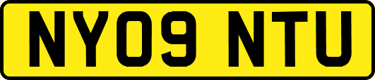 NY09NTU