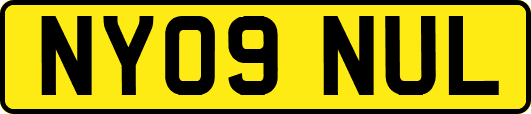 NY09NUL