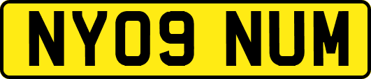 NY09NUM