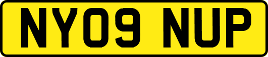 NY09NUP