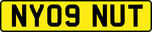 NY09NUT