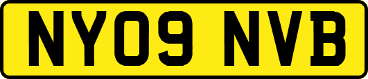 NY09NVB