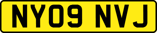 NY09NVJ
