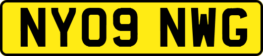 NY09NWG