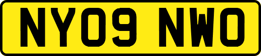 NY09NWO
