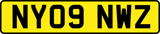 NY09NWZ