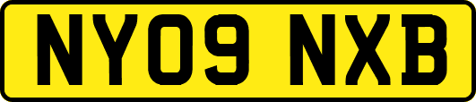 NY09NXB