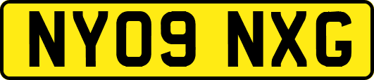 NY09NXG