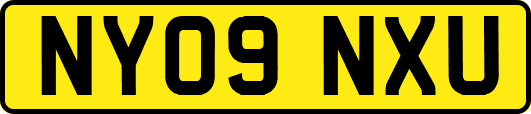 NY09NXU