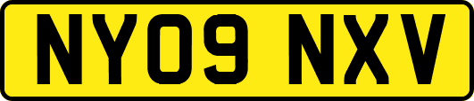 NY09NXV