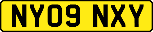 NY09NXY