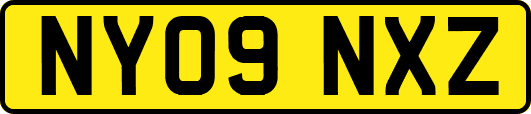 NY09NXZ